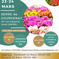 Affiche vente 22 24 mars 2024