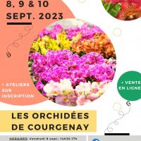 Affiche vente serre sept 2023