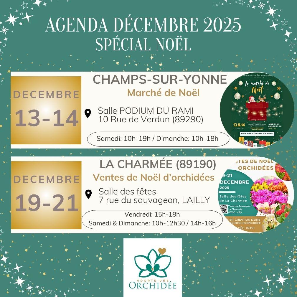 Agenda decembre 2025 special noel