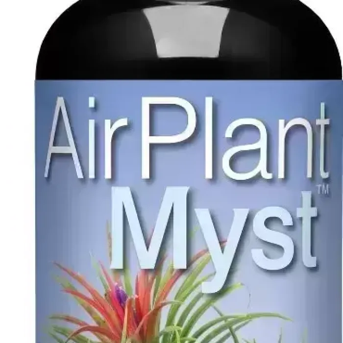 Air plant myst