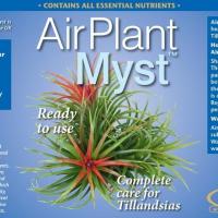 Air plant myst2