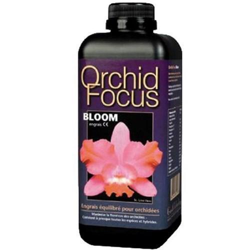 Orchid Focus Bloom 300ML