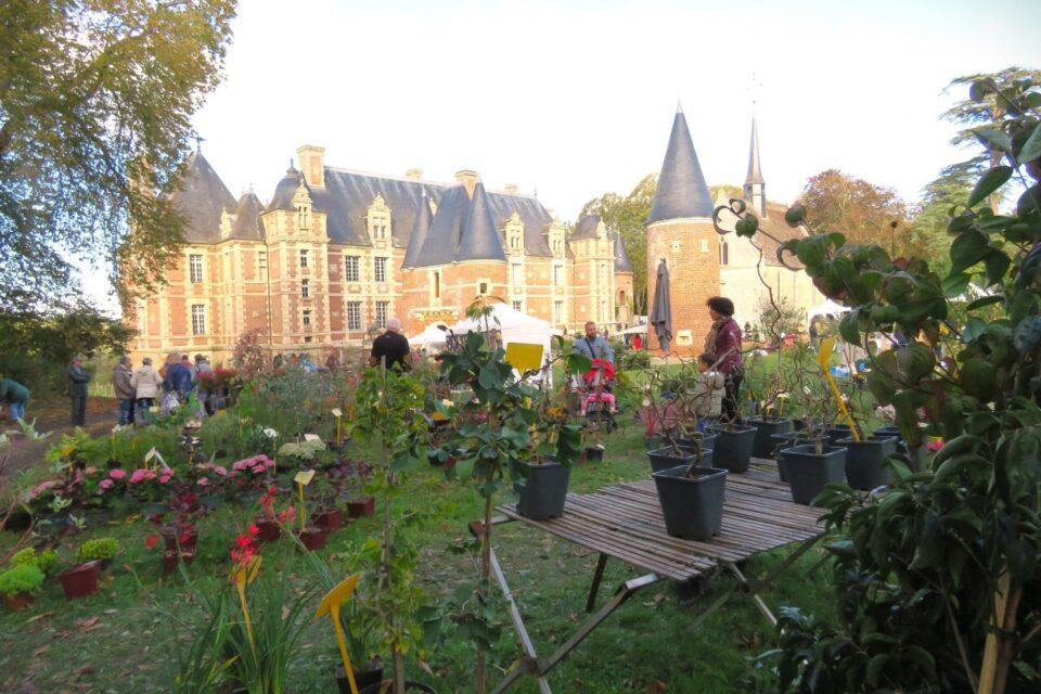 Image chateau