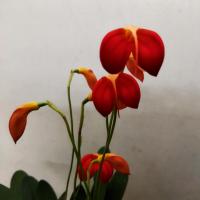 Img 20220425 162100