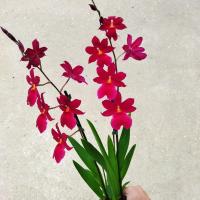 Img 20221120 135557