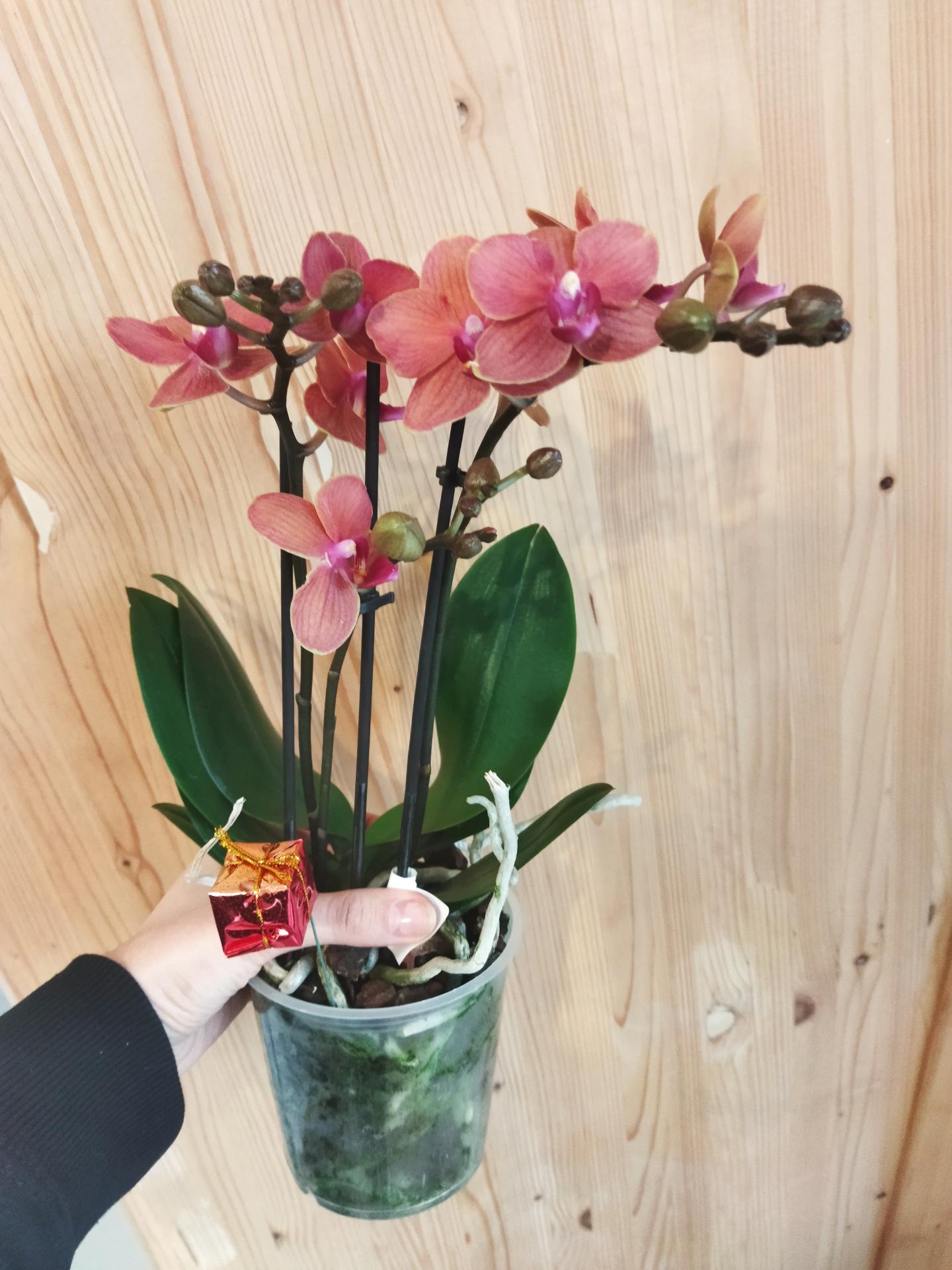 Img 20231203 143714