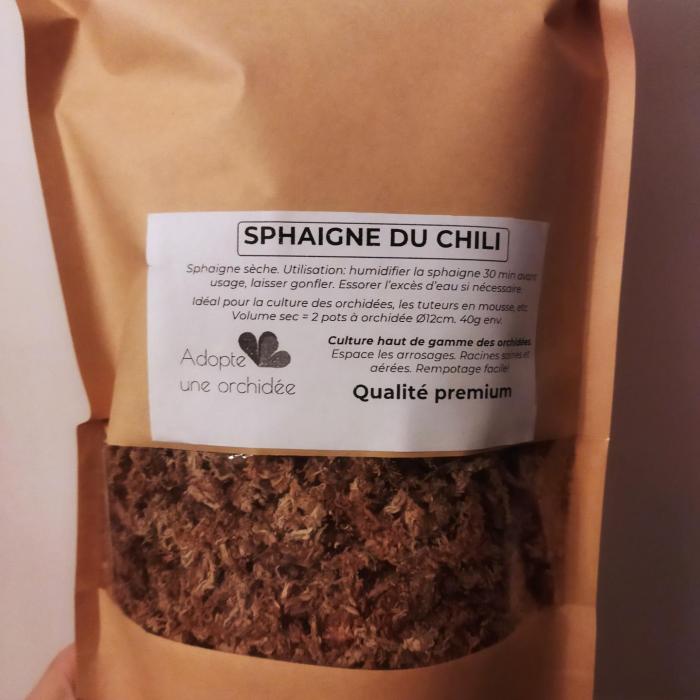 Sphaigne du chili