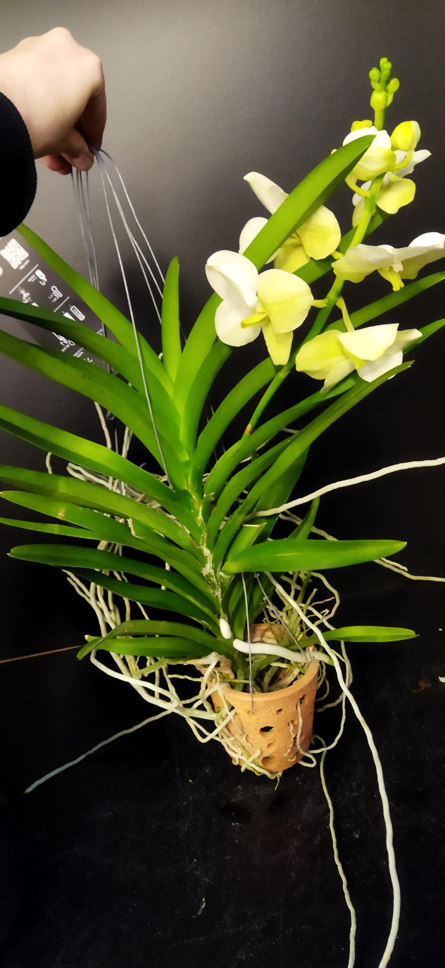 Img 20240320 150457