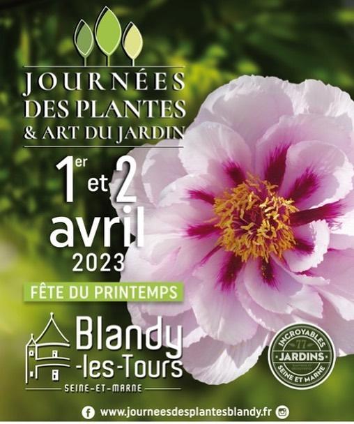 Journeesplantes 2