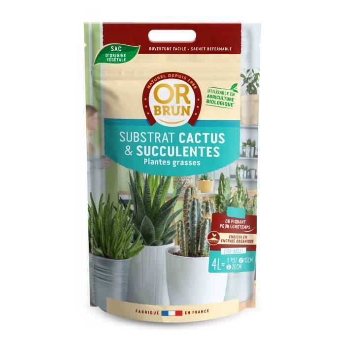 Or brun terreau cactus et succulentes 4l