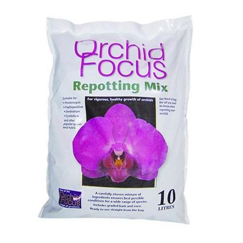 Orchid focus substrat orchidee