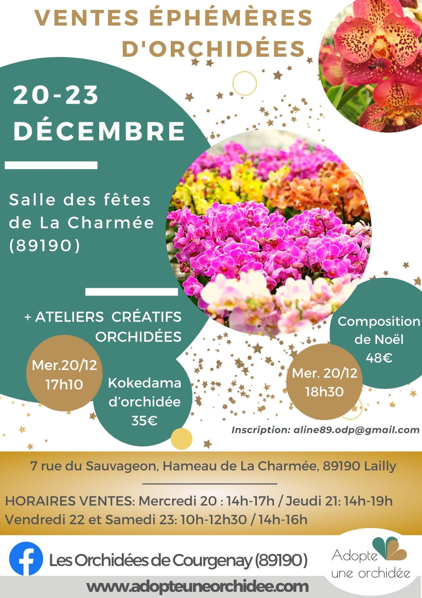 Vente ephemere orchidees la charmee