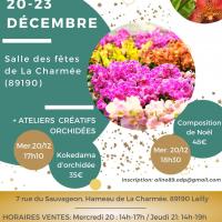 Vente ephemere orchidees la charmee