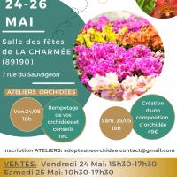 Vente orchidees mai 2024 la charmee